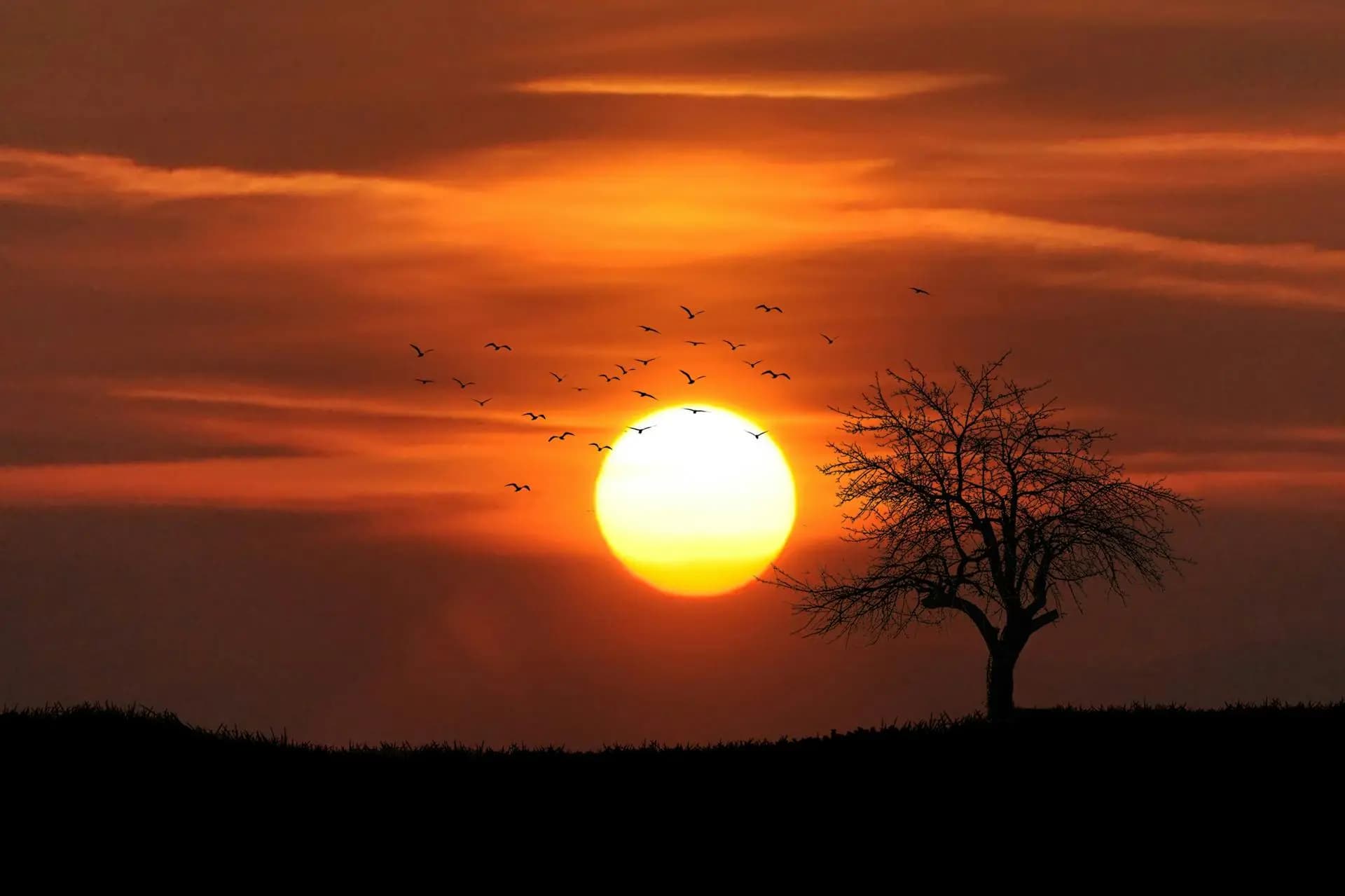 Sunset Coast